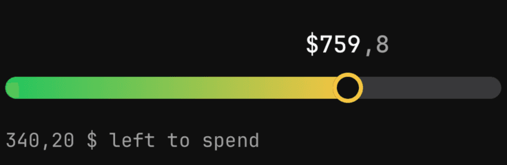 Monthly budget bar